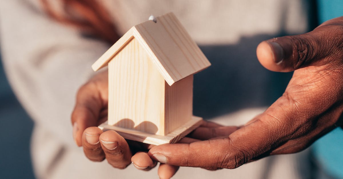 Palms Trailer Park, Phoenix